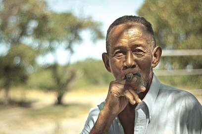 Curar impotencia sexual